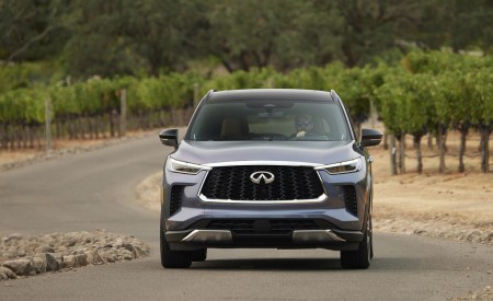 2022 Infiniti QX60 Front Wallpapers 450x275 (92)