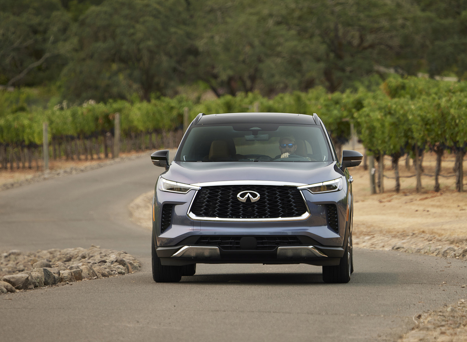 2022 Infiniti QX60 Front Wallpapers (10)