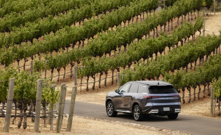 2022 Infiniti QX60 Rear Three-Quarter Wallpapers 450x275 (96)