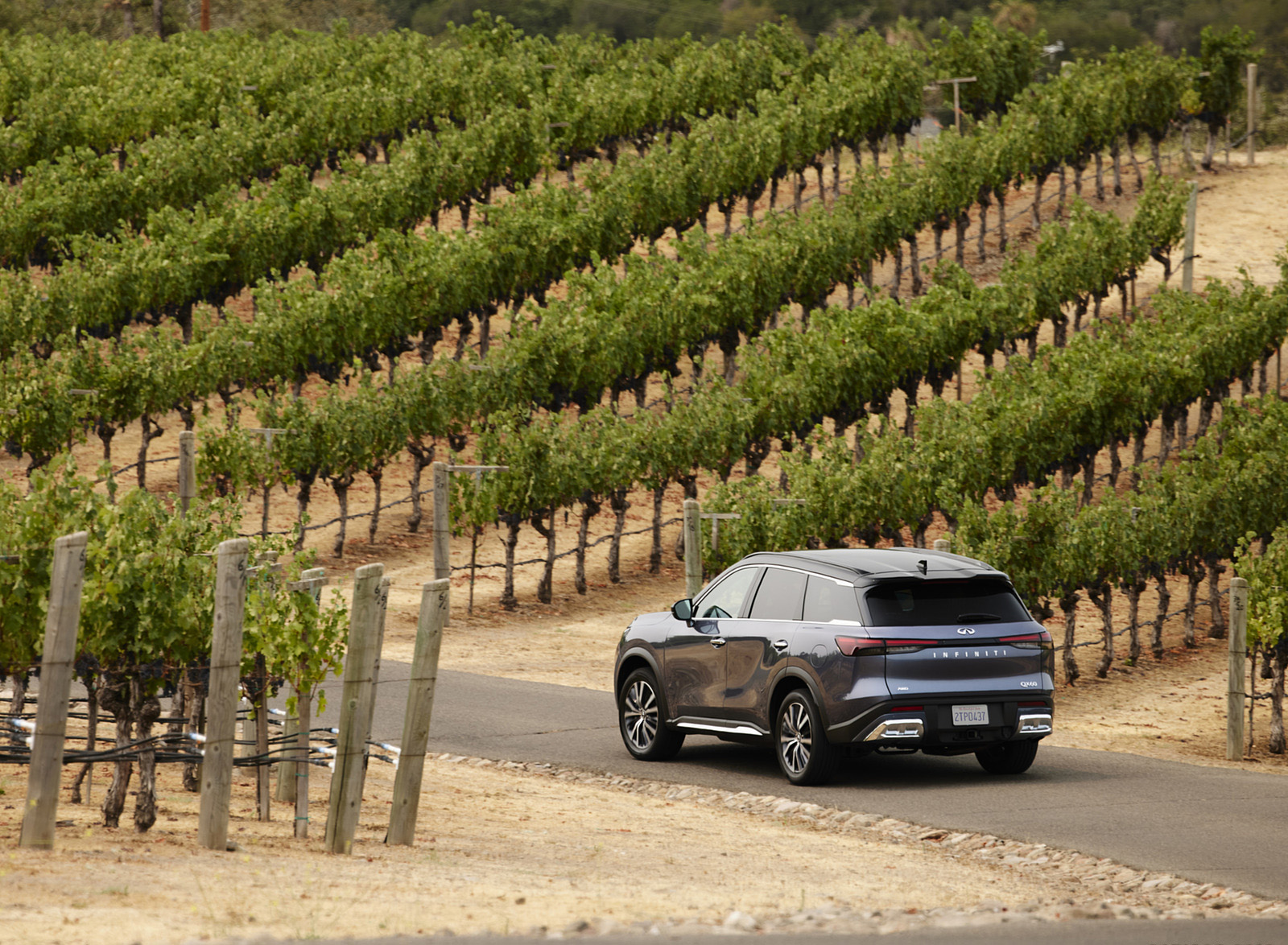2022 Infiniti QX60 Rear Three-Quarter Wallpapers (14)