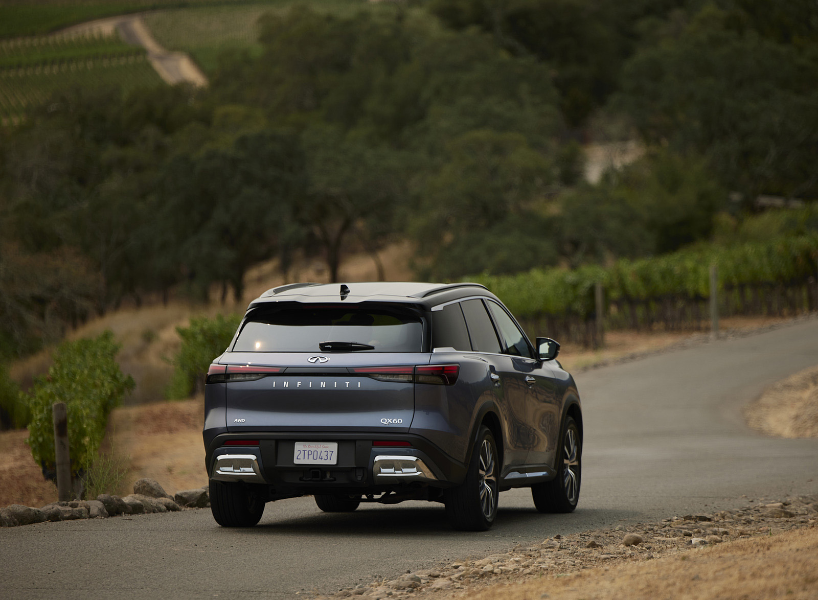 2022 Infiniti QX60 Rear Wallpapers (11)