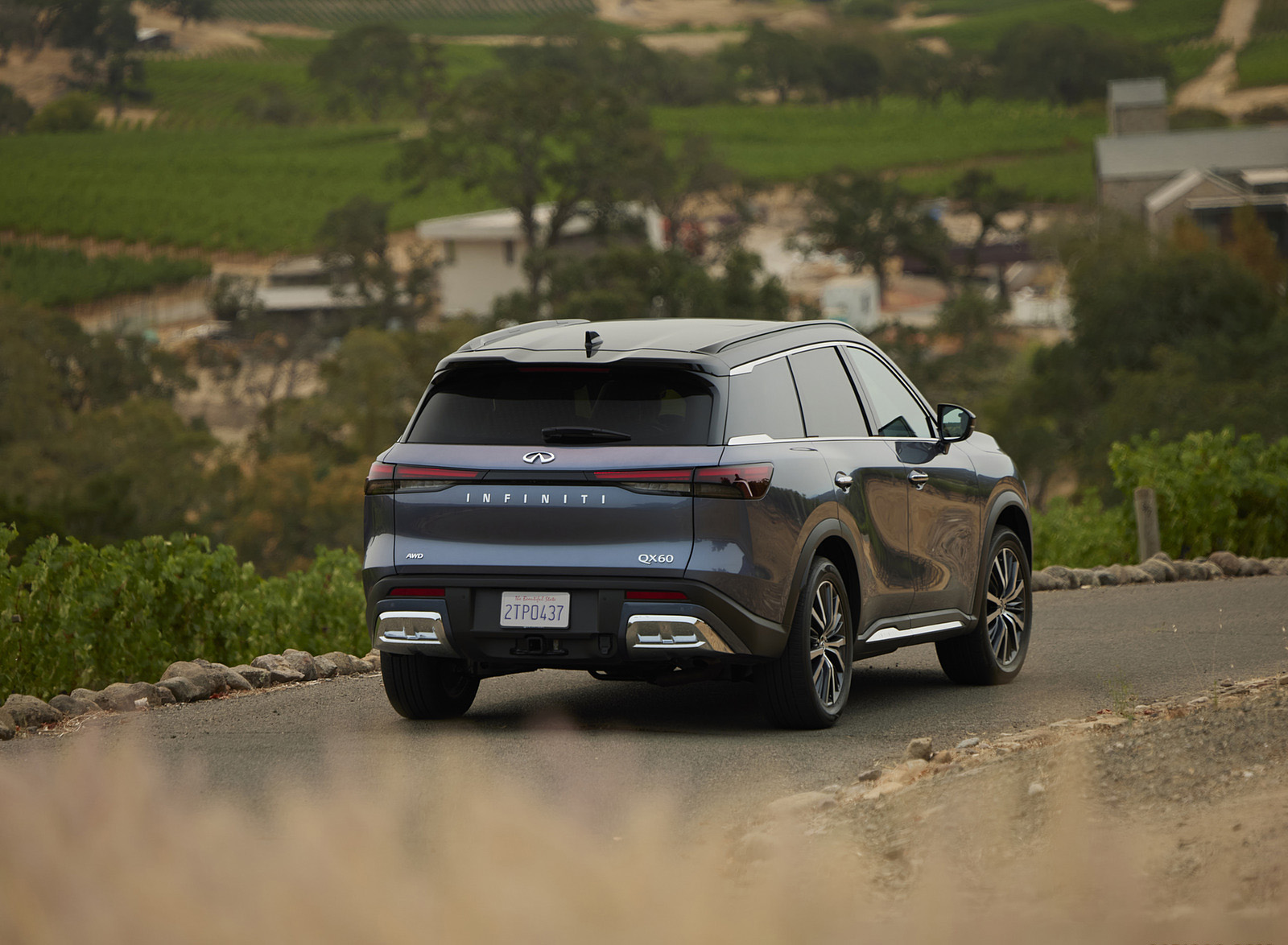 2022 Infiniti QX60 Rear Wallpapers (12)