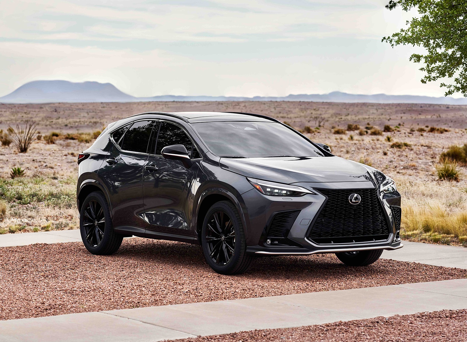 2022 Lexus NX 350 F Sport AWD Front Three-Quarter Wallpapers #3 of 21