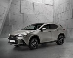 2022 Lexus NX 350h AWD Hybrid Front Three-Quarter Wallpapers 150x120 (4)