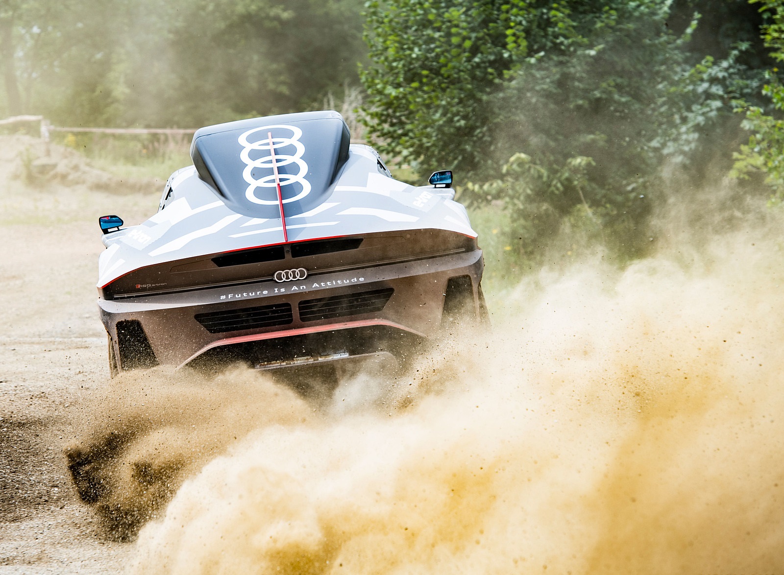 2022 Audi RS Q e-tron Dakar Rally Testing Wallpapers (6)