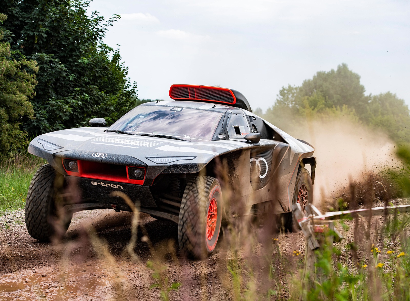 2022 Audi RS Q e-tron Dakar Rally Testing Wallpapers (5)