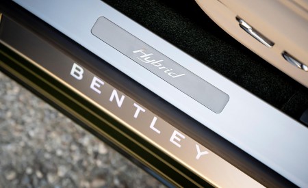 2022 Bentley Flying Spur Hybrid Door Sill Wallpapers  450x275 (110)