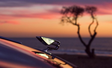 2022 Bentley Flying Spur Hybrid Hood Ornament Wallpapers 450x275 (79)