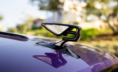 2022 Bentley Flying Spur Hybrid Hood Ornament Wallpapers 450x275 (80)