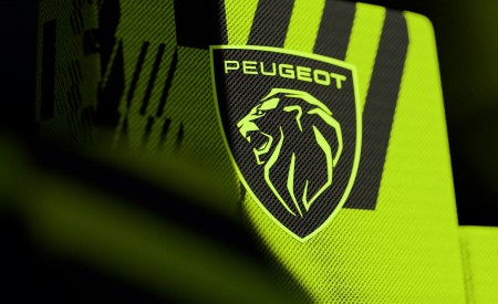 2022 Peugeot 9X8 Interior Seats Wallpapers 450x275 (14)