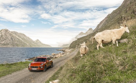 2022 Porsche Macan S (Color: Papaya Metallic) Front Wallpapers 450x275 (131)