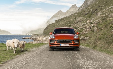 2022 Porsche Macan S (Color: Papaya Metallic) Front Wallpapers 450x275 (133)