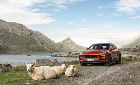 2022 Porsche Macan S (Color: Papaya Metallic) Front Wallpapers 450x275 (137)