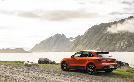 2022 Porsche Macan S (Color: Papaya Metallic) Rear Three-Quarter Wallpapers 450x275 (141)