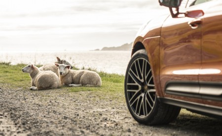 2022 Porsche Macan S (Color: Papaya Metallic) Wheel Wallpapers 450x275 (174)