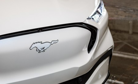 2022 Ford Mustang Mach-E Ice White Appearance Package Badge Wallpapers  450x275 (7)