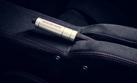 2022 Donkervoort D8 GTO Individual Series Interior Detail Wallpapers 450x275 (31)