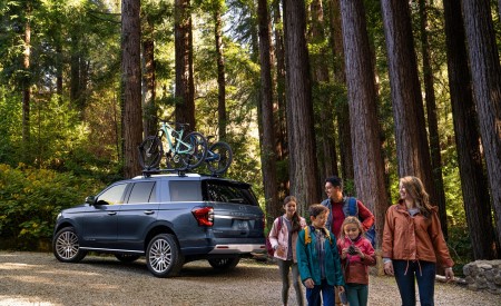 2022 Ford Expedition Platinum Rear Three-Quarter Wallpapers 450x275 (6)