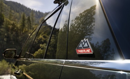 2022 Ford Expedition Timberline Detail Wallpapers 450x275 (11)