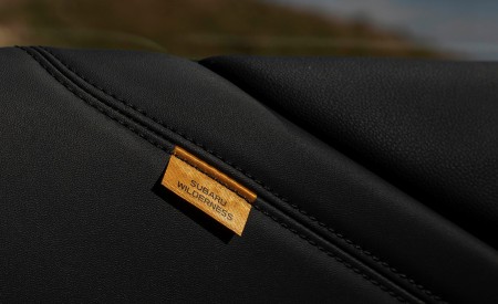 2022 Subaru Outback Wilderness Interior Detail Wallpapers 450x275 (65)
