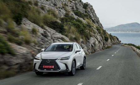 2021 Lexus NX 250 (Euro-Spec) Front Wallpapers 450x275 (7)