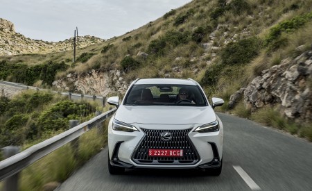 2021 Lexus NX 250 (Euro-Spec) Front Wallpapers 450x275 (8)