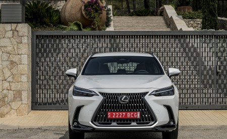 2021 Lexus NX 250 (Euro-Spec) Front Wallpapers 450x275 (23)