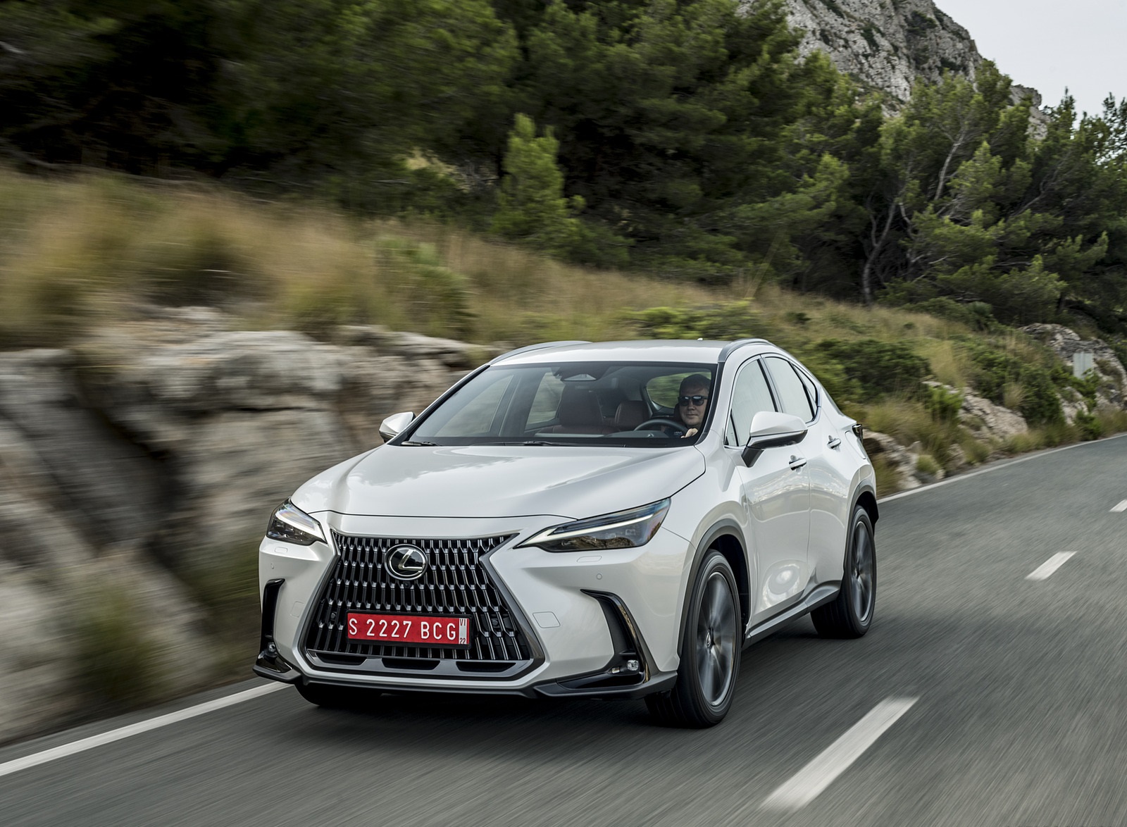 2021 Lexus NX 250 (Euro-Spec) Front Wallpapers (11)