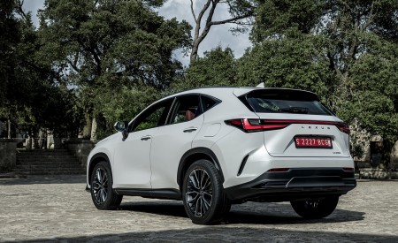 2021 Lexus NX 250 (Euro-Spec) Rear Three-Quarter Wallpapers  450x275 (24)