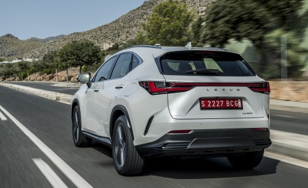 2021 Lexus NX 250 (Euro-Spec) Rear Three-Quarter Wallpapers  450x275 (12)