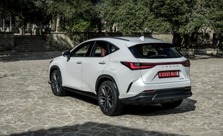 2021 Lexus NX 250 (Euro-Spec) Rear Three-Quarter Wallpapers  450x275 (26)