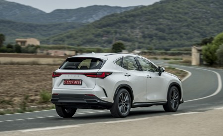 2021 Lexus NX 250 (Euro-Spec) Rear Three-Quarter Wallpapers  450x275 (19)