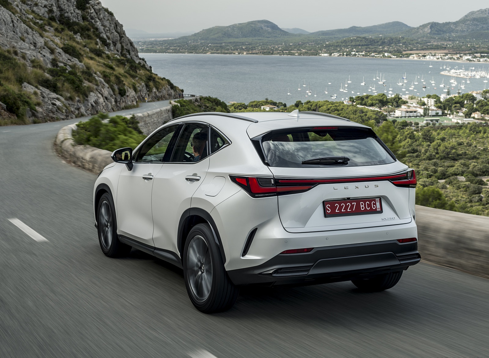 2021 Lexus NX 250 (Euro-Spec) Rear Three-Quarter Wallpapers (14)