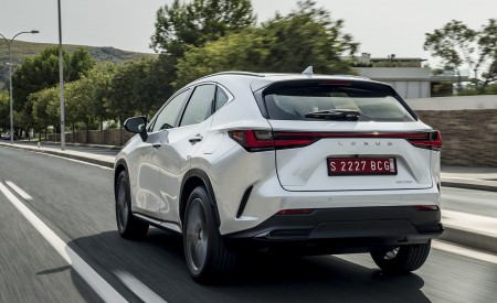 2021 Lexus NX 250 (Euro-Spec) Rear Wallpapers  450x275 (15)