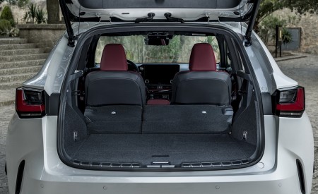 2021 Lexus NX 250 (Euro-Spec) Trunk Wallpapers 450x275 (31)