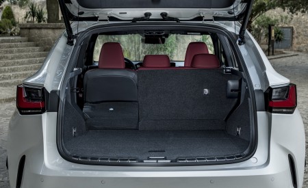 2021 Lexus NX 250 (Euro-Spec) Trunk Wallpapers  450x275 (32)