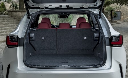 2021 Lexus NX 250 (Euro-Spec) Trunk Wallpapers 450x275 (33)