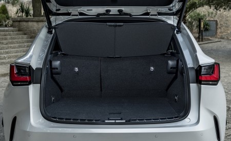 2021 Lexus NX 250 (Euro-Spec) Trunk Wallpapers 450x275 (34)