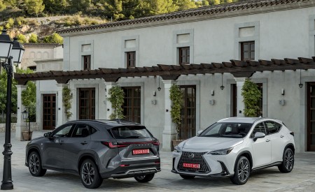 2021 Lexus NX 250 (Euro-Spec) Wallpapers 450x275 (35)