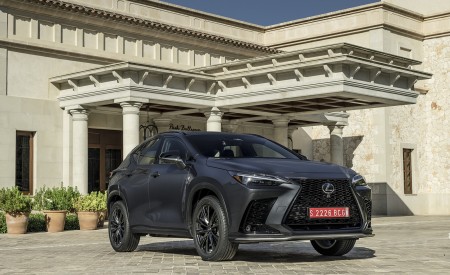 2021 Lexus NX 350 (Euro-Spec) Front Three-Quarter Wallpapers  450x275 (30)