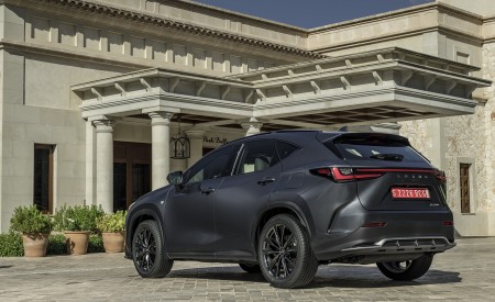 2021 Lexus NX 350 (Euro-Spec) Rear Three-Quarter Wallpapers 450x275 (32)