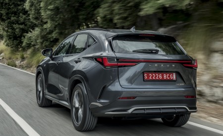 2021 Lexus NX 350 (Euro-Spec) Rear Wallpapers 450x275 (17)