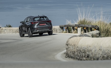 2021 Lexus NX 350 (Euro-Spec) Rear Wallpapers 450x275 (7)