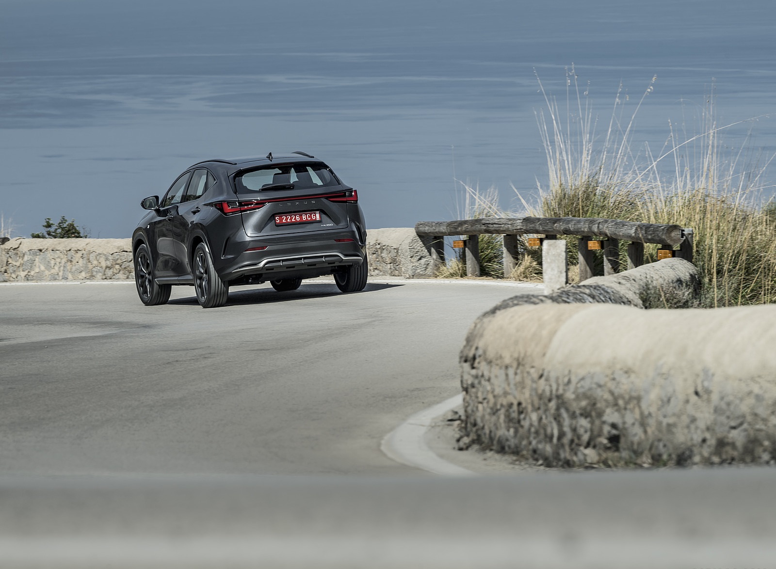 2021 Lexus NX 350 (Euro-Spec) Rear Wallpapers (7)