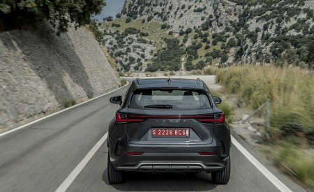 2021 Lexus NX 350 (Euro-Spec) Rear Wallpapers 450x275 (19)