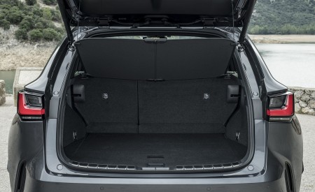 2021 Lexus NX 350 (Euro-Spec) Trunk Wallpapers 450x275 (42)