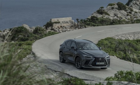 2021 Lexus NX 450h+ (Euro-Spec) Front Three-Quarter Wallpapers  450x275 (11)
