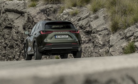 2021 Lexus NX 450h+ (Euro-Spec) Rear Wallpapers 450x275 (105)