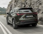 2021 Lexus NX 450h+ (Euro-Spec) Rear Wallpapers 150x120