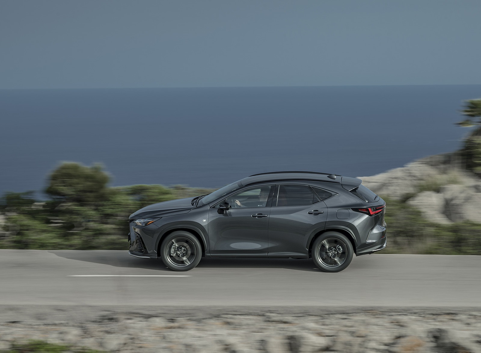 2021 Lexus NX 450h+ (Euro-Spec) Side Wallpapers (12)